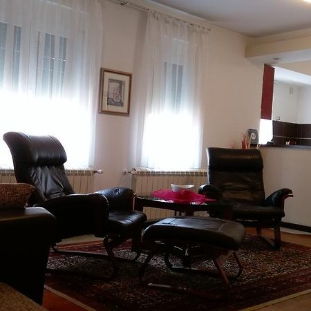 Apartment Krsmanovic Arandjelovac Ngoại thất bức ảnh